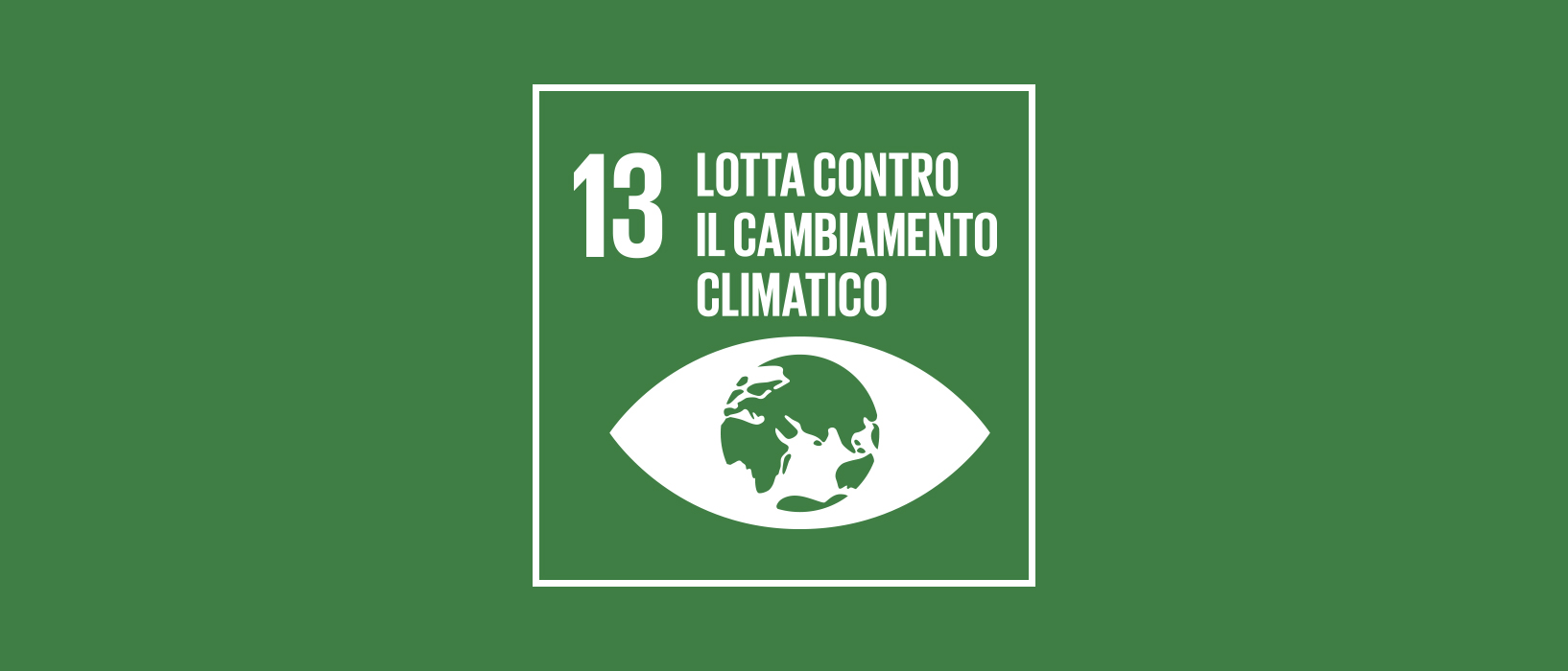 Lotta Contro Il Cambiamento Climatico Agenda 2030 Riassunto SDG 13 Lotta contro il cambiamento climatico - Fondazione Compagnia di