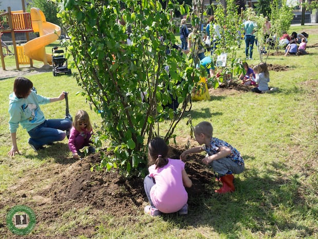 piantiamo-alberi-2